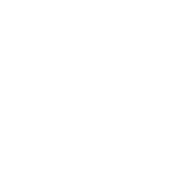 ce logo Manchester